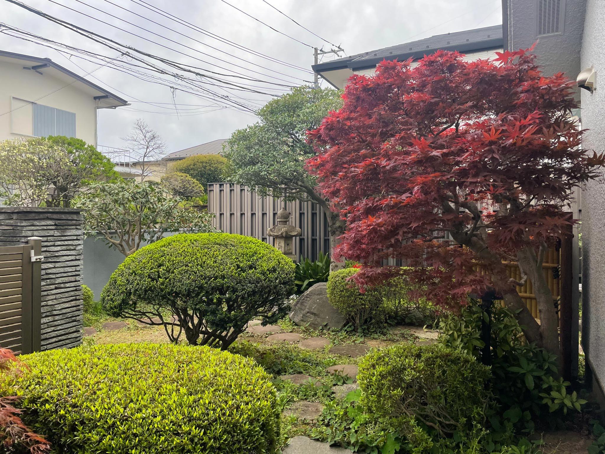 武蔵野市吉祥寺北町の賃貸物件/植栽は年に1回貸主のほうで剪定を行います