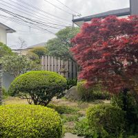 武蔵野市吉祥寺北町の賃貸物件/植栽は年に1回貸主のほうで剪定を行います