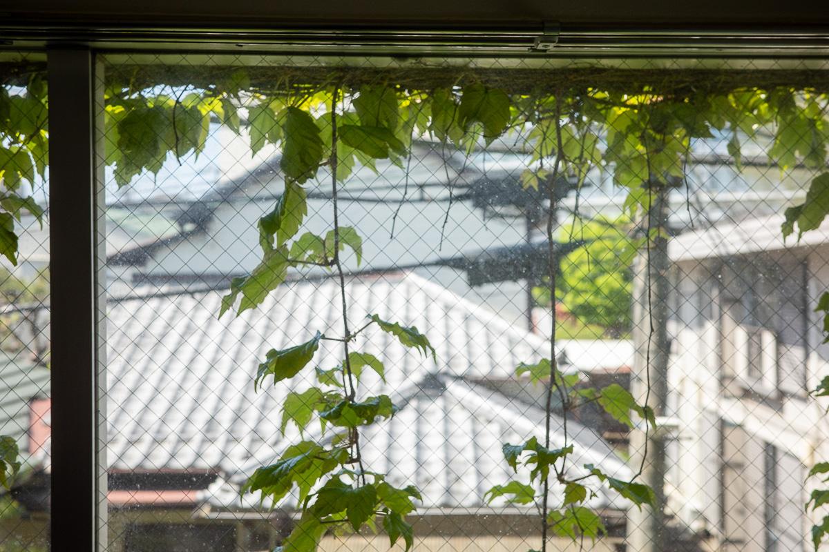 杉並区天沼の賃貸物件/窓の向こうに、垂れ下がる緑