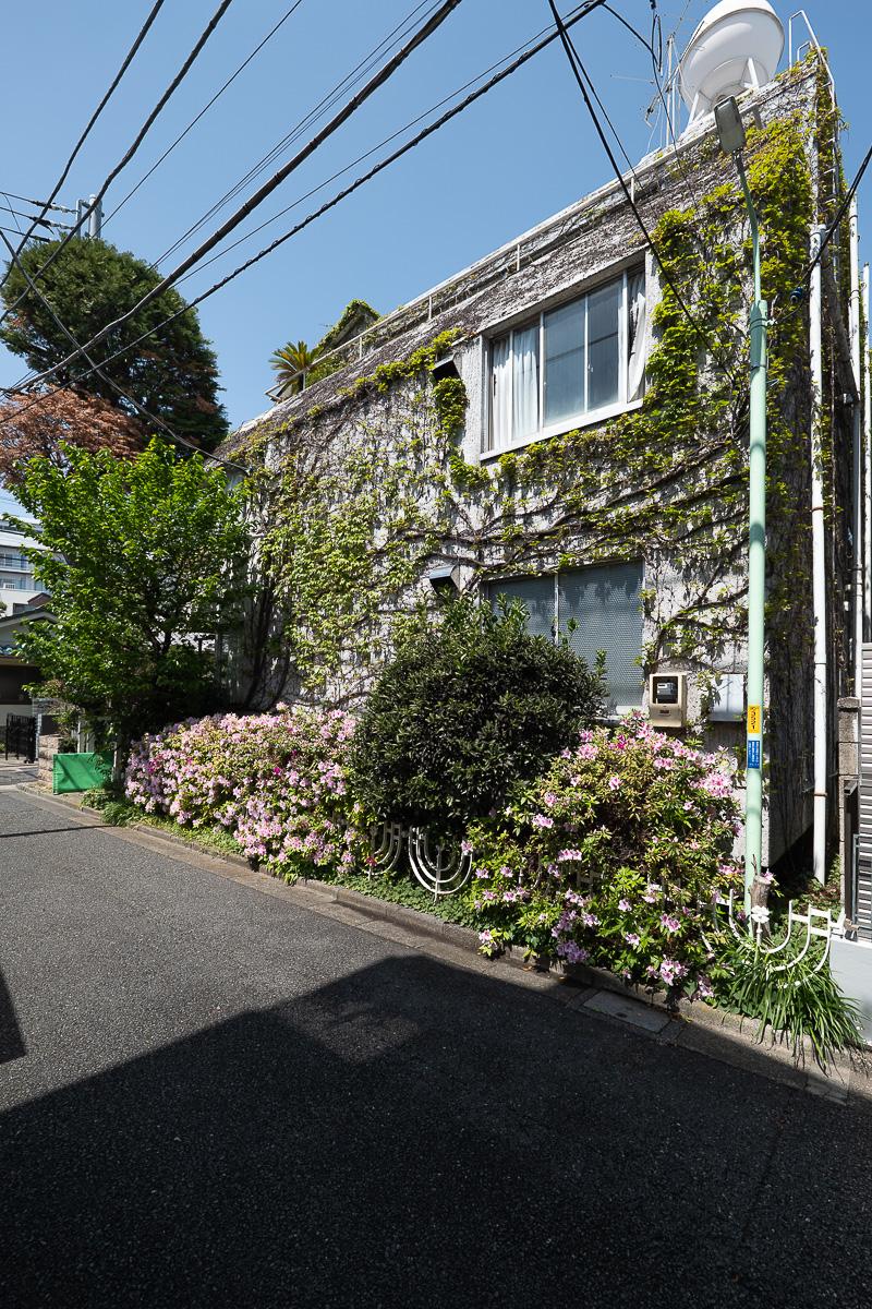 杉並区天沼の賃貸物件/南側外観