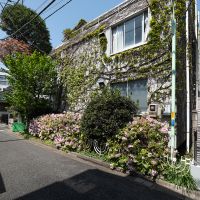 杉並区天沼の賃貸物件/南側外観