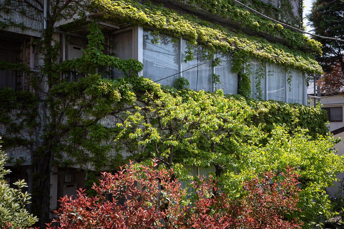 杉並区天沼の賃貸物件/呼吸をするかのような建物。シビれます