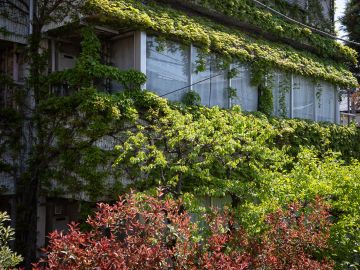 杉並区天沼の賃貸物件/まるで、生きている