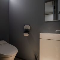 港区南麻布の売買物件/トイレ