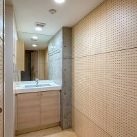 練馬区豊玉北の賃貸物件/洗面室。ここにも有孔ボードの壁があります