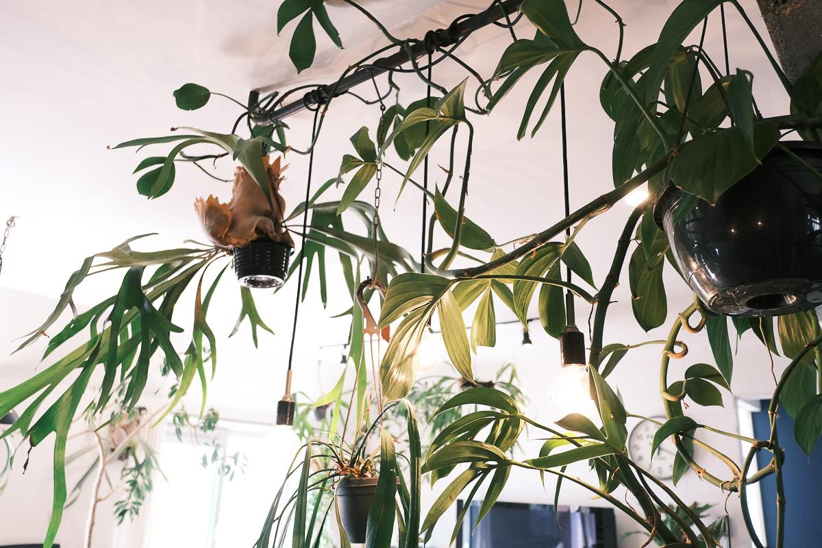 世田谷区玉堤の売買物件/キッチンカウンター上には、植物を吊るせるパイプが設置してあります