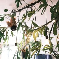 世田谷区玉堤の売買物件/キッチンカウンター上には、植物を吊るせるパイプが設置してあります