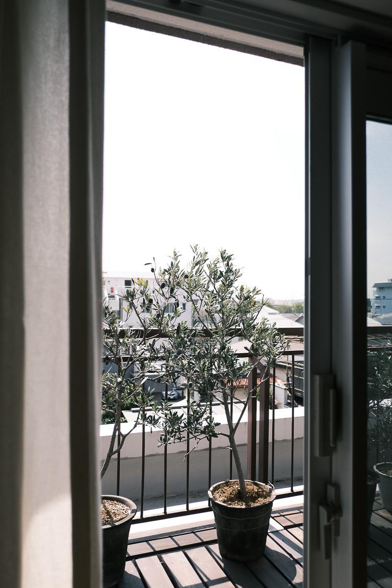 世田谷区玉堤の売買物件/植物がすくすくと育ちそうな、日当たりの良さ