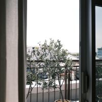 世田谷区玉堤の売買物件/植物がすくすくと育ちそうな、日当たりの良さ