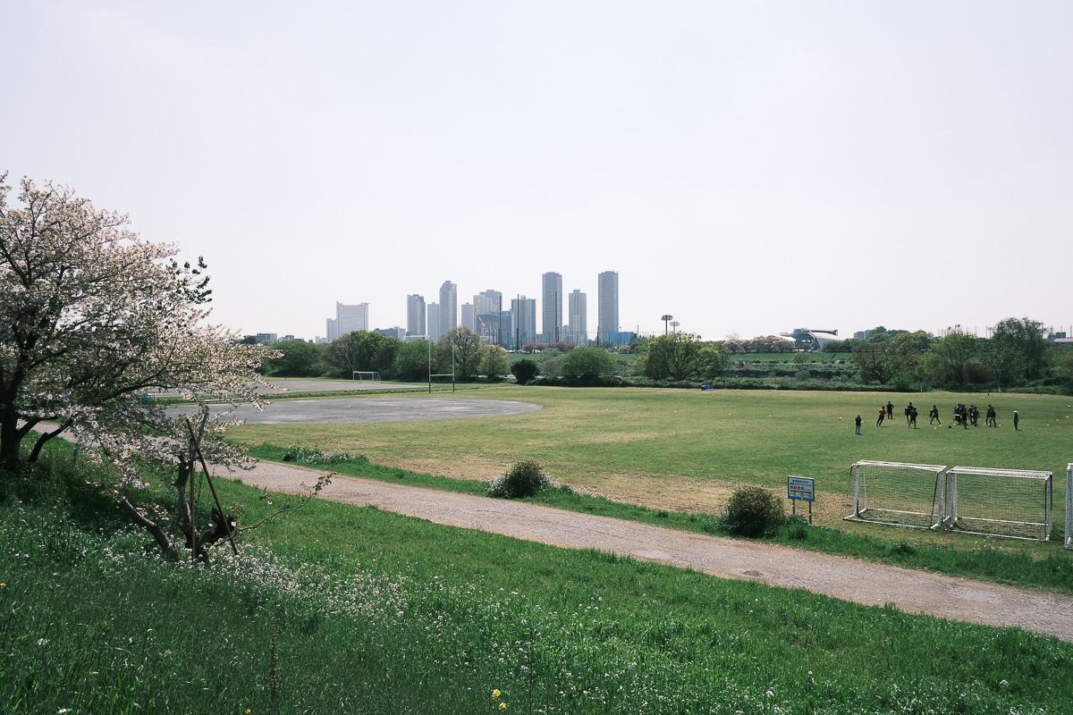 世田谷区玉堤の売買物件/多摩川の土手までは歩いて3分ほど。控えめに言ってかなり気持ちが良いです