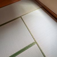 東京都世田谷区千歳台の賃貸物件/ふわっとした光で浮かぶ畳の表情が美しい