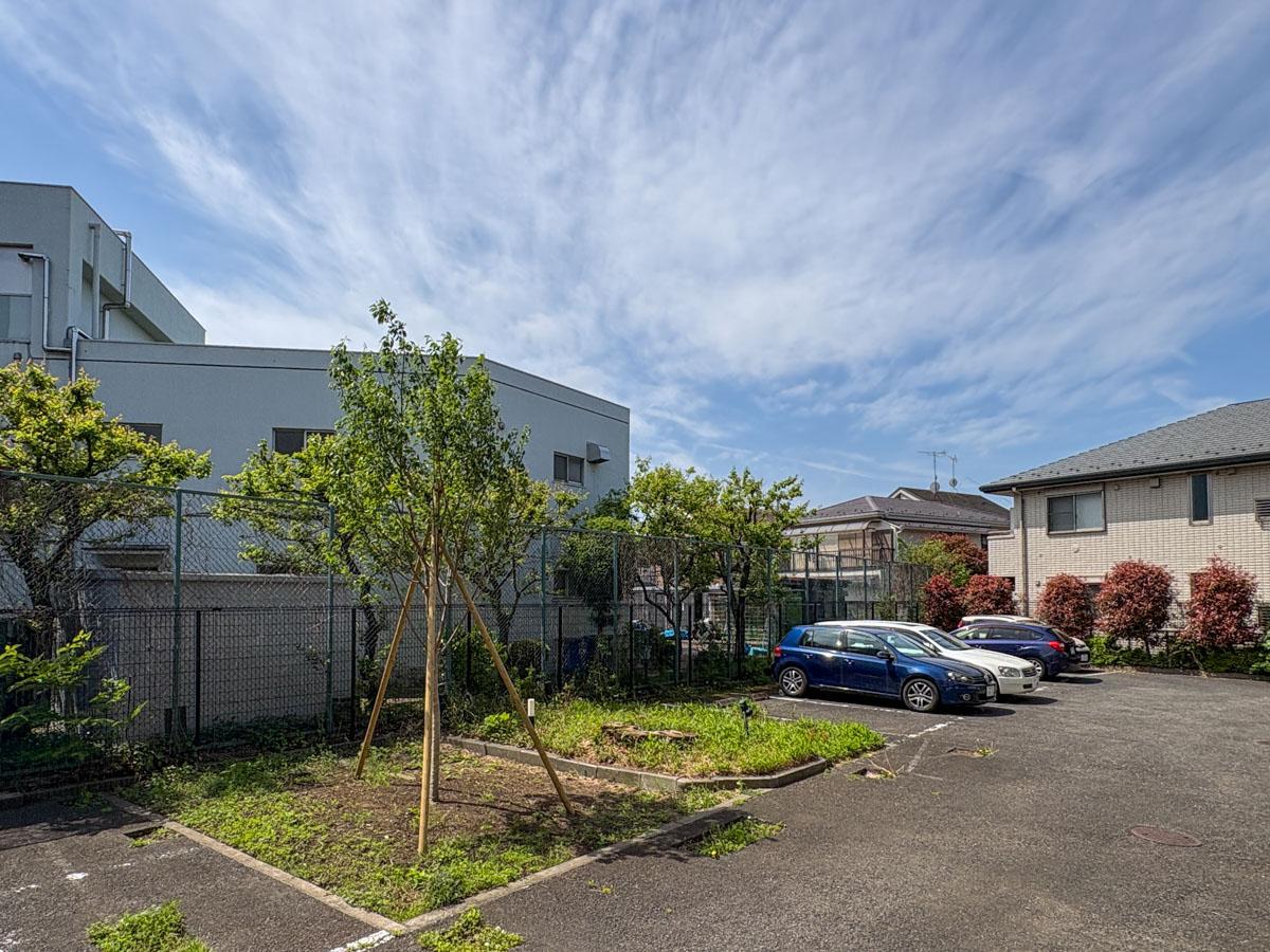 三鷹市牟礼の売買物件/ベランダから駐車場方向への視点　マンションの人みんなでお花見をしたこともある大きな桜がありましたが、倒木の恐れがあり惜しまれながら数年前に伐採。けれど、また新しく桜を植えました。大きくなるのが待ち遠しい