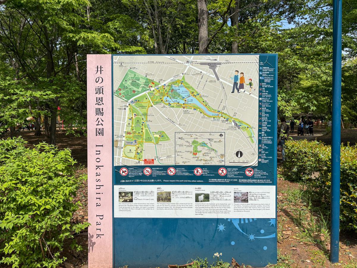 三鷹市牟礼の売買物件/井の頭公園はめちゃくちゃ広い　ニュースでよく見るボートのある池なんて、ほんの一部です