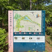三鷹市牟礼の売買物件/井の頭公園はめちゃくちゃ広い　ニュースでよく見るボートのある池なんて、ほんの一部です