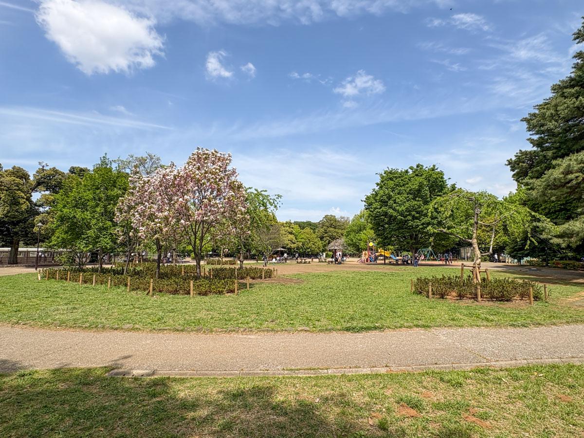 三鷹市牟礼の売買物件/井の頭公園