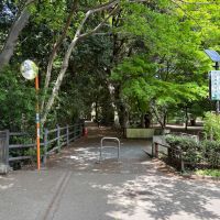 三鷹市牟礼の売買物件/井の頭公園