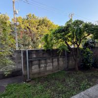 東京都渋谷区西原1丁目の賃貸物件/ゆとりのある専用庭。せっかくなら使いこなしたい