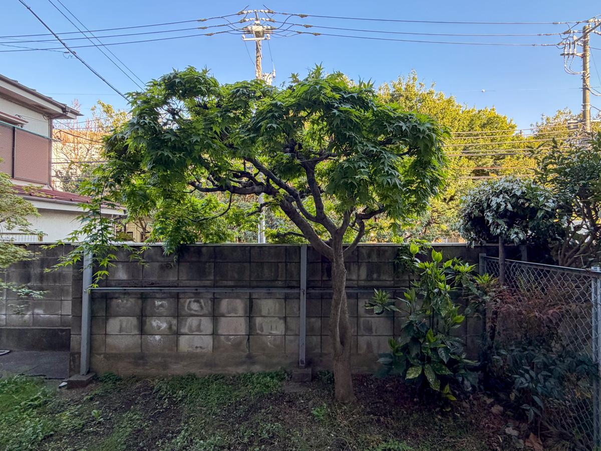 東京都渋谷区西原1丁目の賃貸物件/仲間を増やしてあげてください