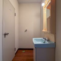 東京都渋谷区西原1丁目の賃貸物件/コンパクトな洗面スペース。左側がトイレ