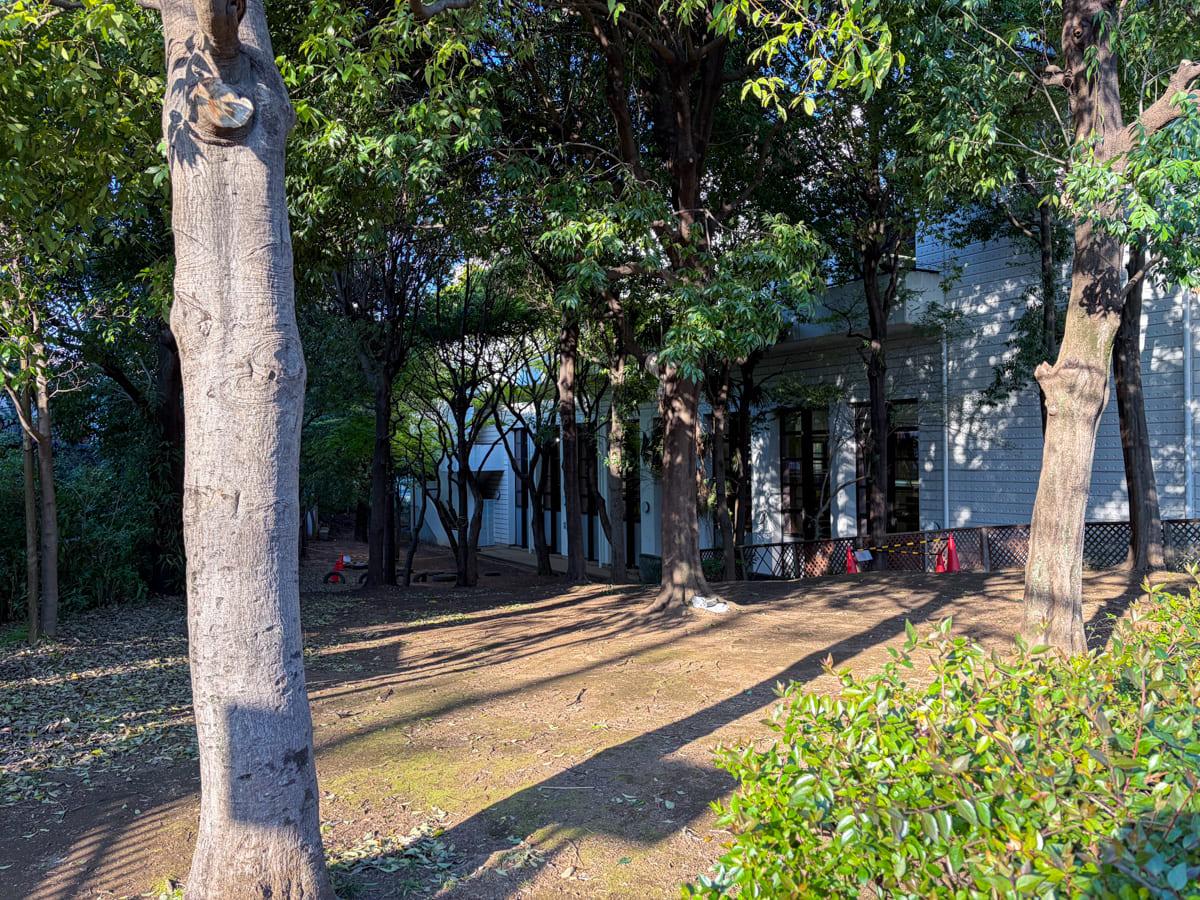 東京都渋谷区西原1丁目の賃貸物件/目の前の渋谷区スポーツセンター。奥に見えるのが屋内プールです