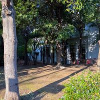 東京都渋谷区西原1丁目の賃貸物件/目の前の渋谷区スポーツセンター。奥に見えるのが屋内プールです