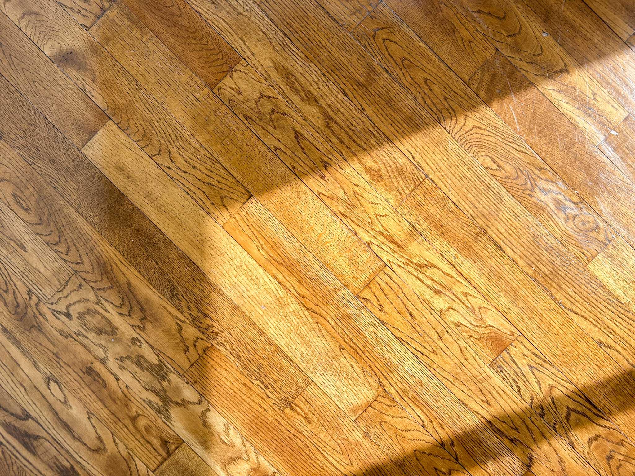 大田区南馬込の賃貸物件/時を経て飴色に変わったフローリング