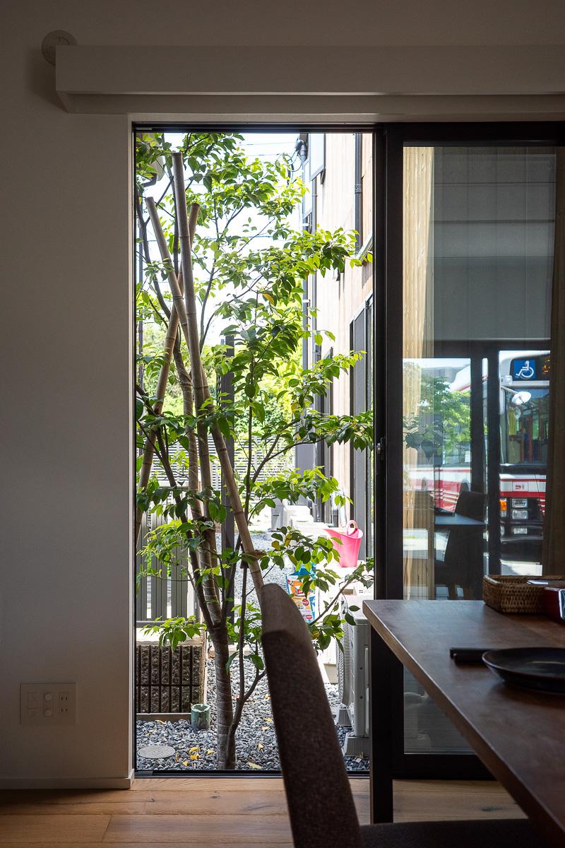 調布市深大寺東町の賃貸物件/北西の窓の先に植栽が揺れる