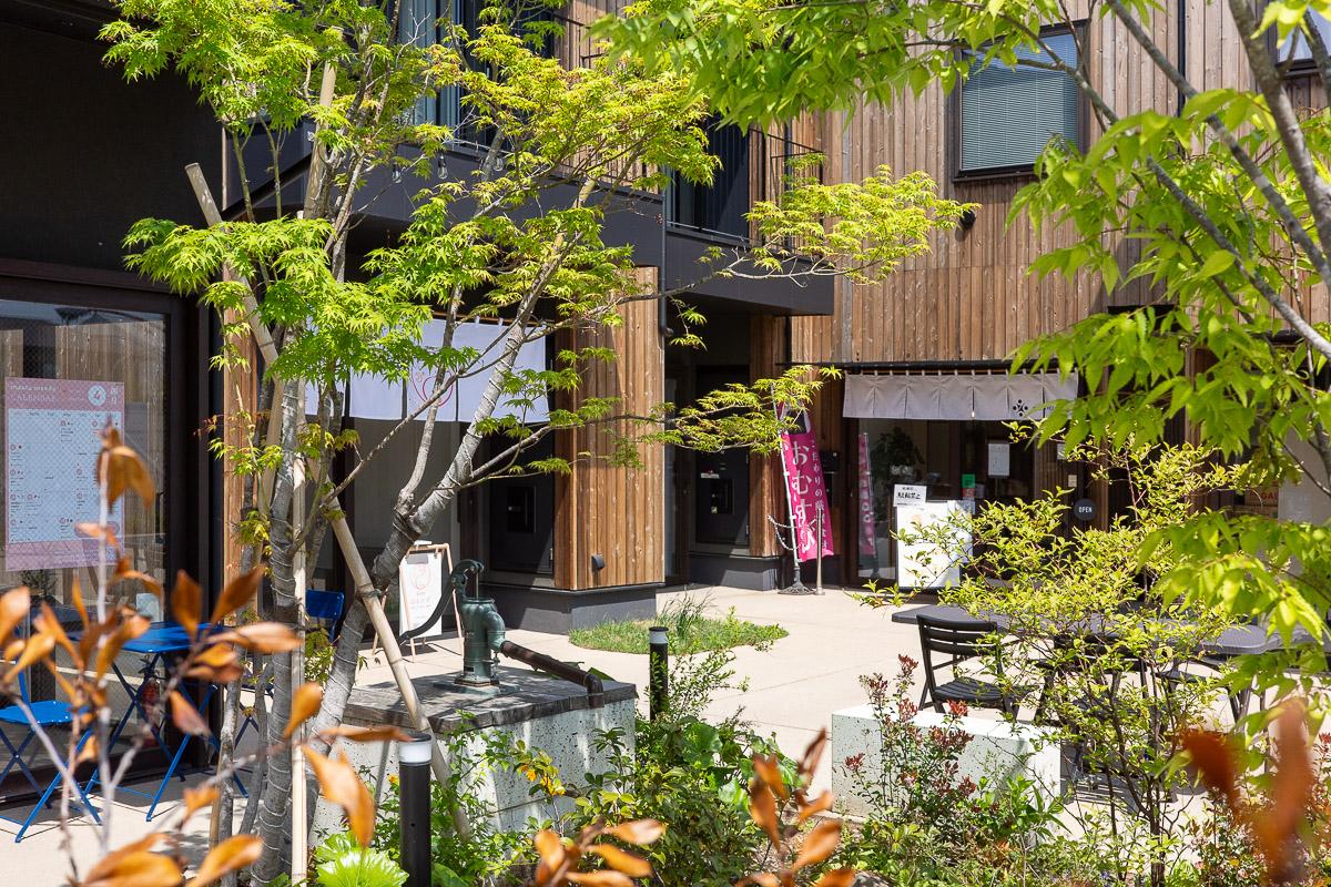 調布市深大寺東町の賃貸物件/秋には紅葉が綺麗に色づきます