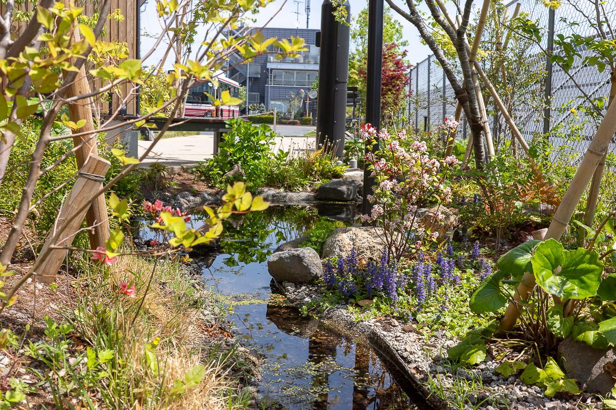 調布市深大寺東町の賃貸物件/植栽が重なり合う美しい景色