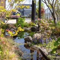 調布市深大寺東町の賃貸物件/植栽が重なり合う美しい景色