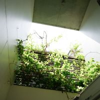 世田谷区代沢の賃貸物件/1階