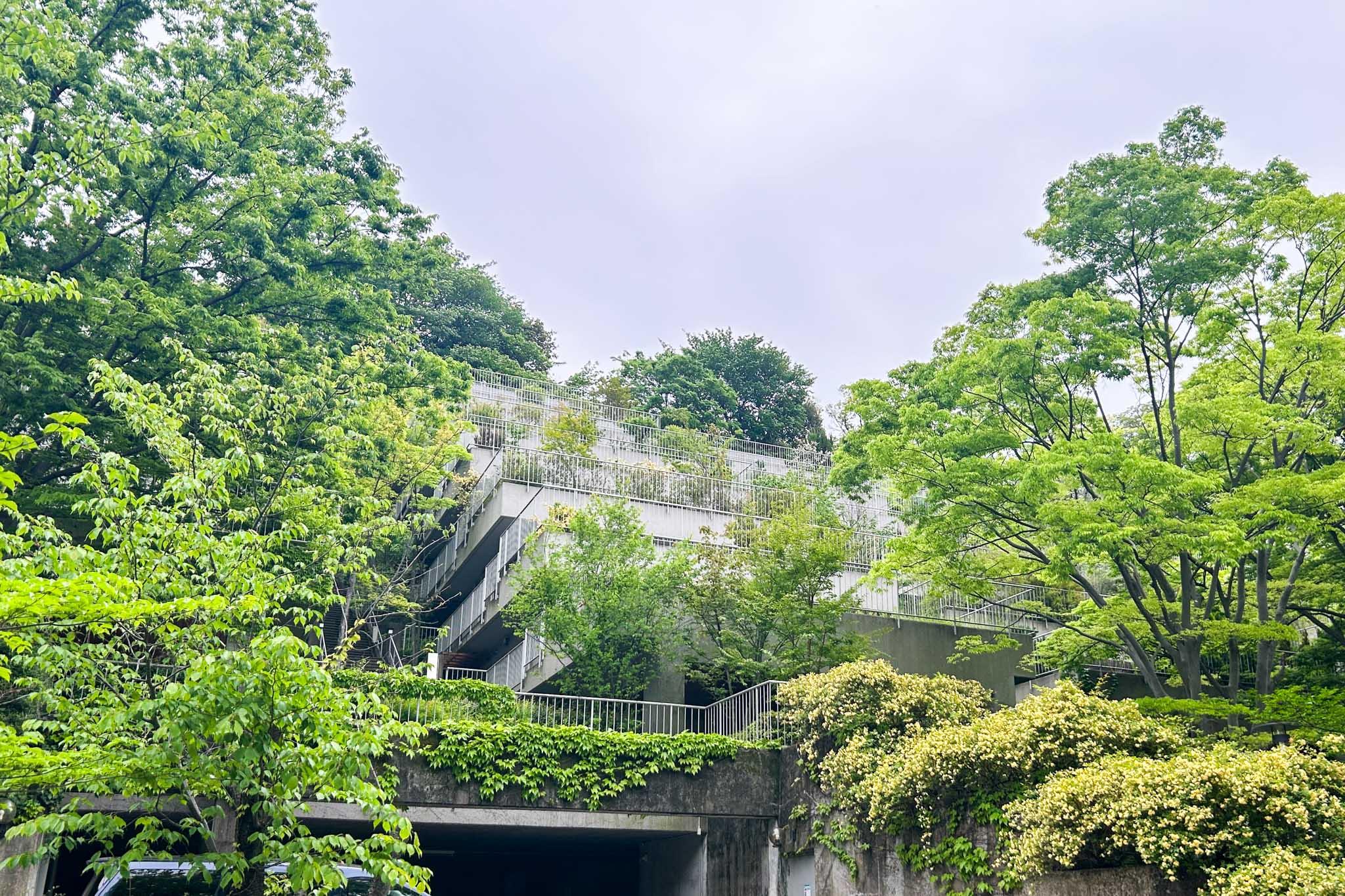 横浜市港北区師岡町の売買物件/緑豊かな斜面に、溶け込むように立つレトロマンション