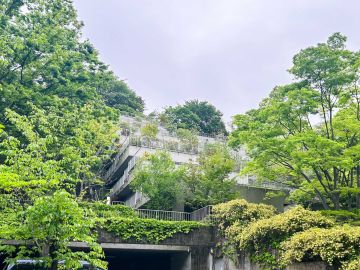 横浜市港北区師岡町の売買物件/斜面の秘境