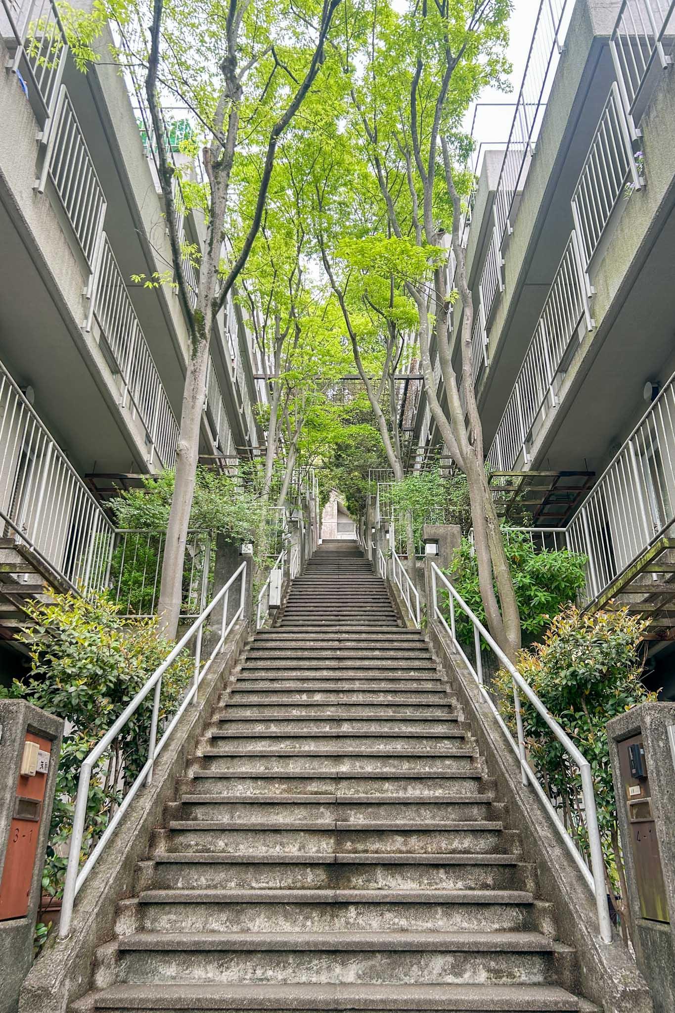 横浜市港北区師岡町の売買物件/長い階段。部屋があるのは、ここから6階分上がった先