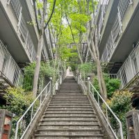 横浜市港北区師岡町の売買物件/長い階段。部屋があるのは、ここから6階分上がった先