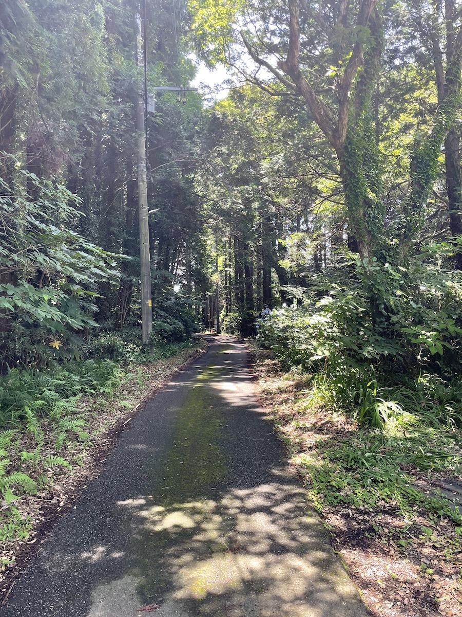 千葉県いすみ市岬町椎木の売買物件/前面道路