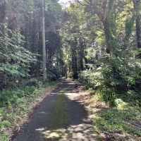 千葉県いすみ市岬町椎木の売買物件/前面道路