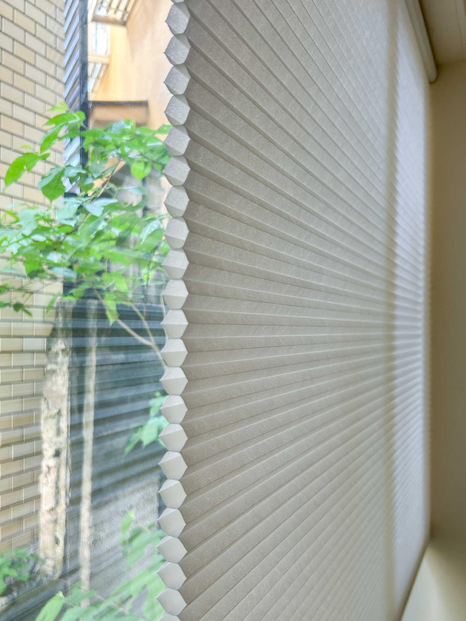目黒区下目黒の賃貸物件/空気層があるので、断熱・遮熱効果が期待できるハニカムシェード。光をふんわり取り込む、障子のような質感も個人的に好きです