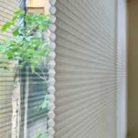 目黒区下目黒の賃貸物件/空気層があるので、断熱・遮熱効果が期待できるハニカムシェード。光をふんわり取り込む、障子のような質感も個人的に好きです
