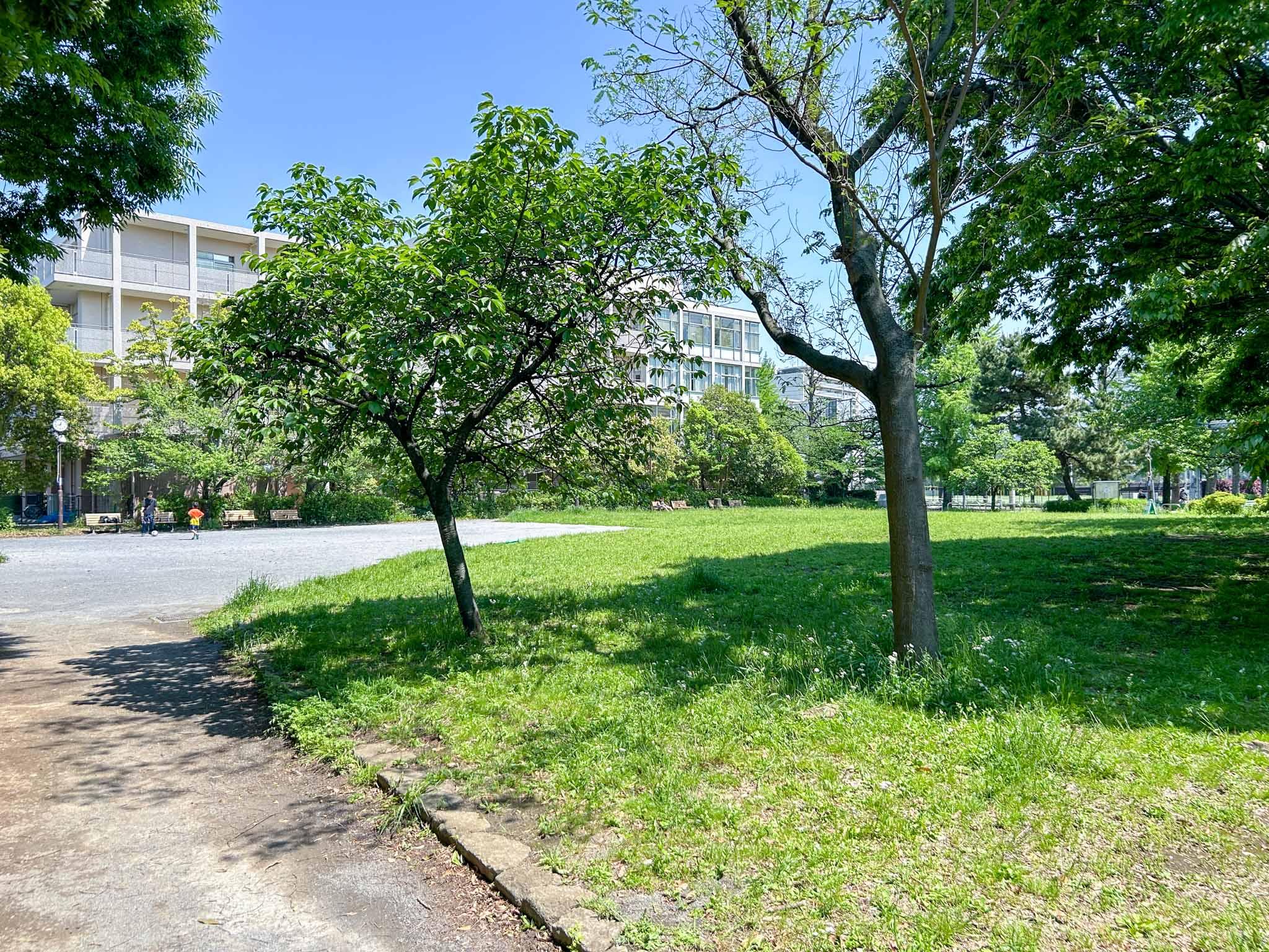 世田谷区池尻の賃貸物件/建物に隣接する東山公園