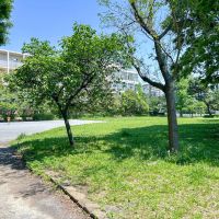 世田谷区池尻の賃貸物件/建物に隣接する東山公園