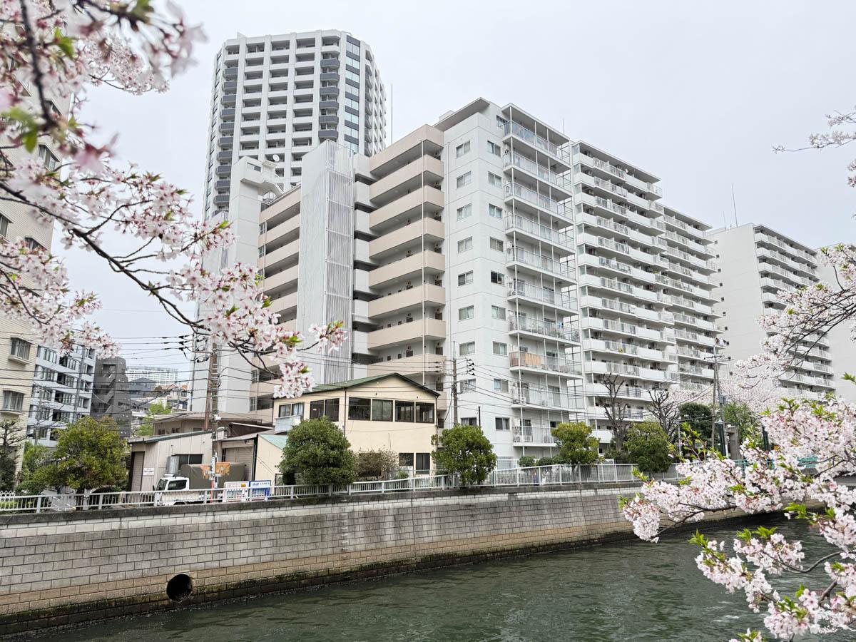 品川区北品川の賃貸物件/外観。川のすぐ脇に建っています