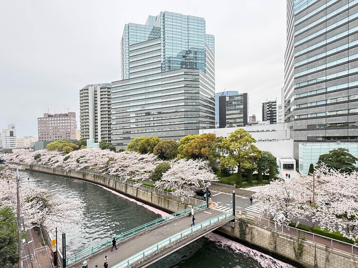 品川区北品川の賃貸物件/バルコニーからの景色