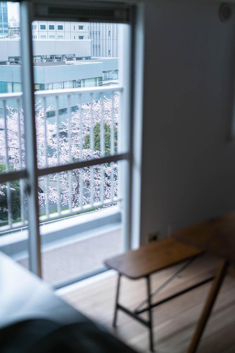 品川区北品川の賃貸物件/窓から桜を見下ろすかたち。なお、サッシは少し古いつくり