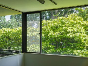 杉並区善福寺の賃貸物件/緑に染まる