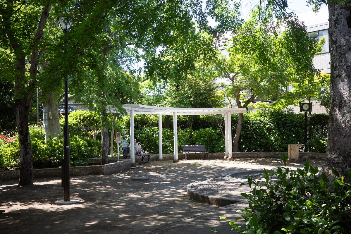 杉並区善福寺の賃貸物件/向かいは小さな公園