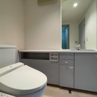 中野区新井の賃貸物件/洗面所とトイレは同室です