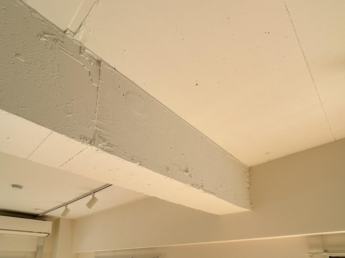 港区白金の賃貸物件/躯体あらわしの天井が室内をサラッとしたテイストに仕上げてくれています