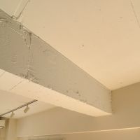 港区白金の賃貸物件/躯体あらわしの天井が室内をサラッとしたテイストに仕上げてくれています