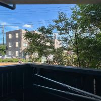 世田谷区大原の賃貸物件/建物前の緑がカーテンのような役割になってくれています